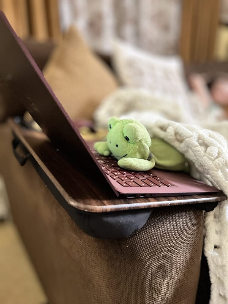 Froggy typing on burgundy Microsoft Surface laptop basics of bookkeeping