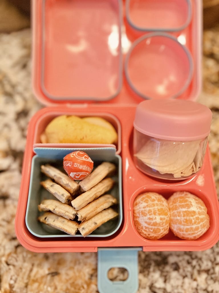 Bento Box Kids Brunch Lunch Thermos Brand with containers